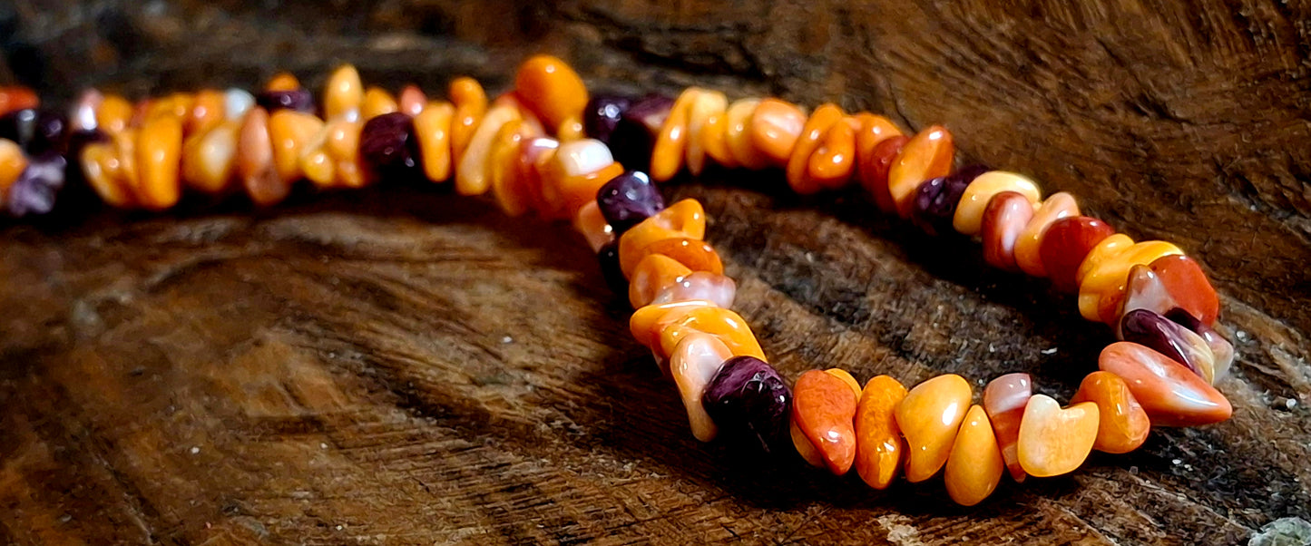 Spiny Mix Necklace (18")