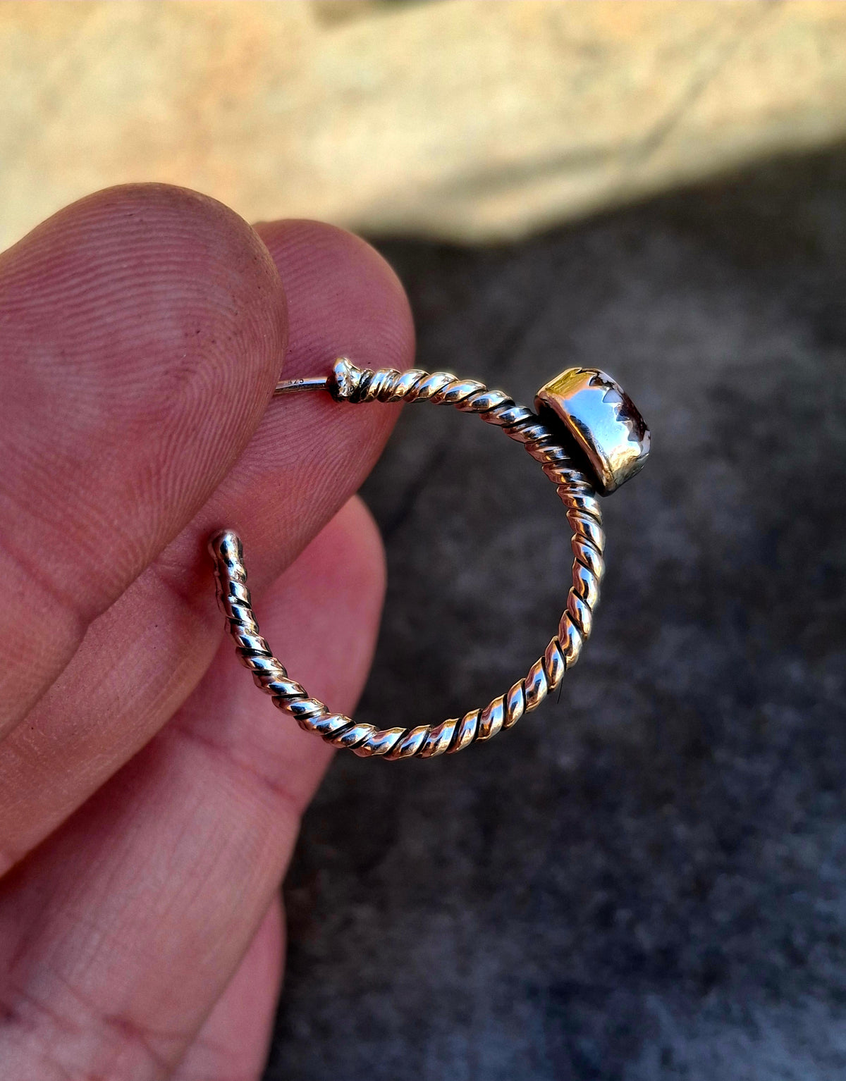Wild Horse Hoop Earrings
