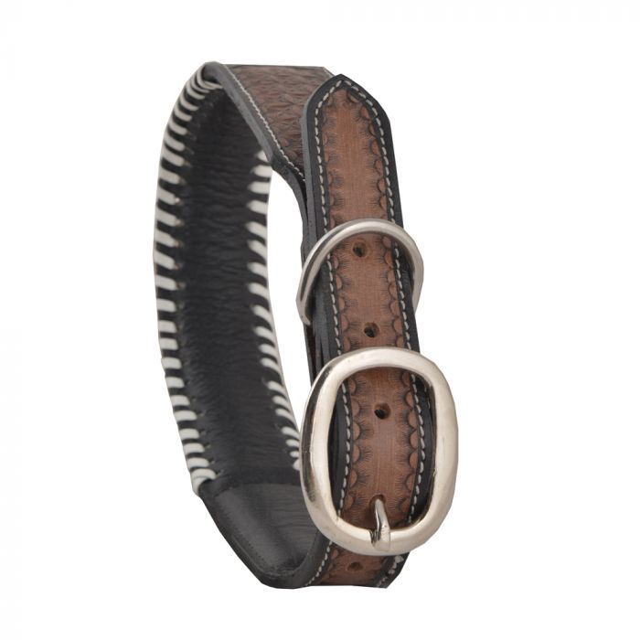 Dog Collars