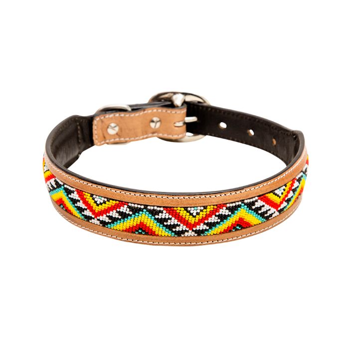 Dog Collars