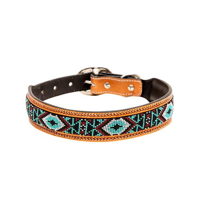 Dog Collars