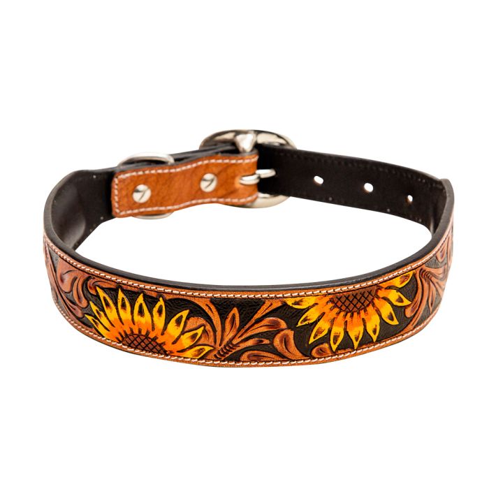 Dog Collars