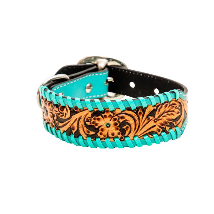 Dog Collars
