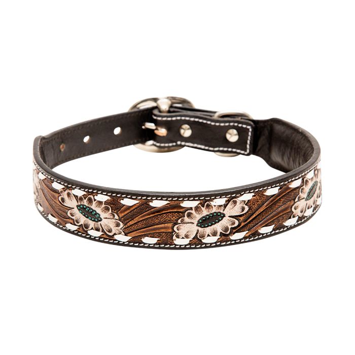 Dog Collars