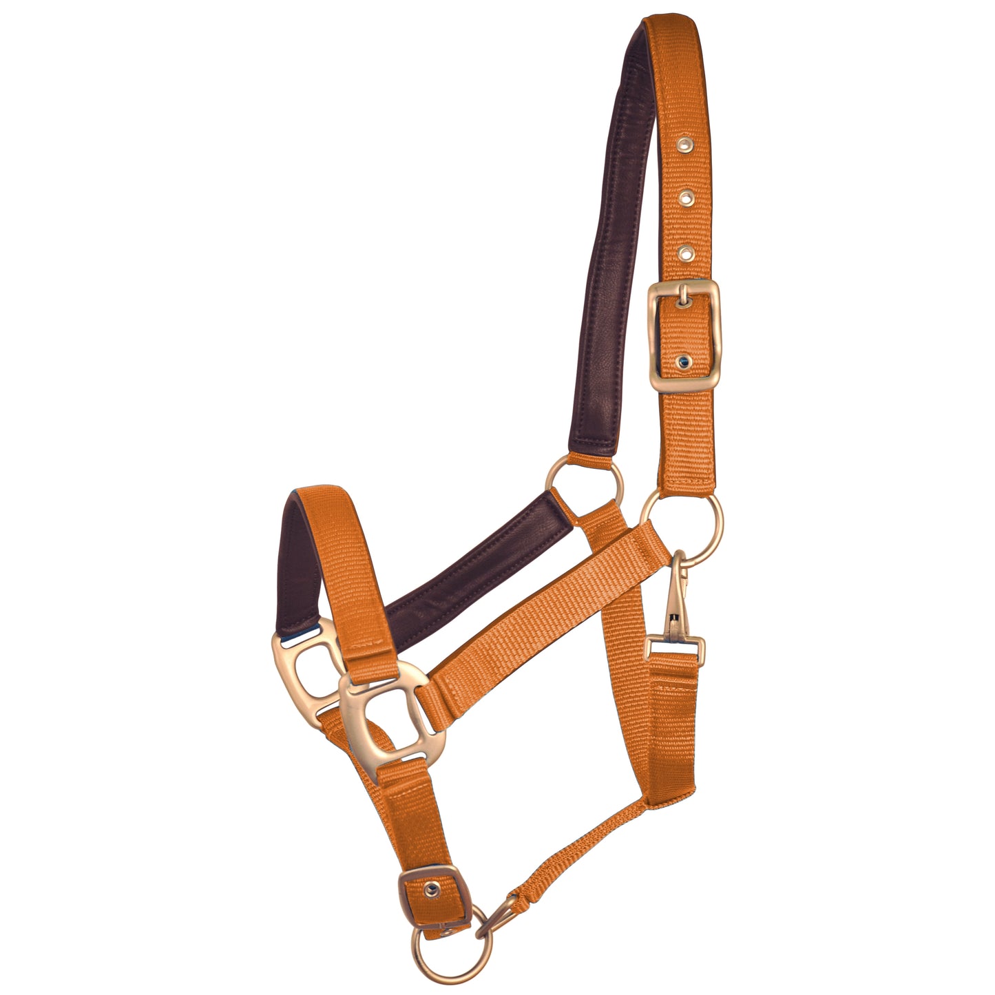 Leather Padded Adjustable Nylon Halter