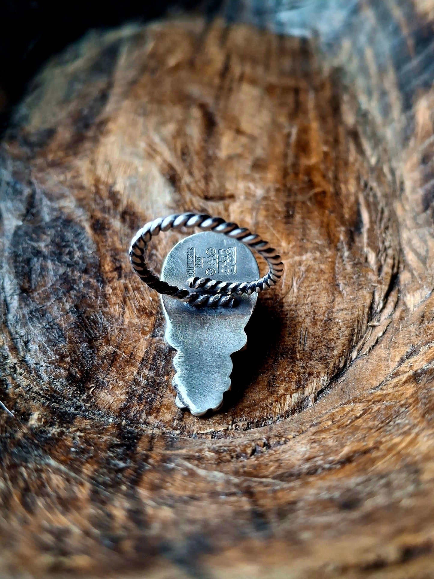 Sonoran Gold Adjustable Ring
