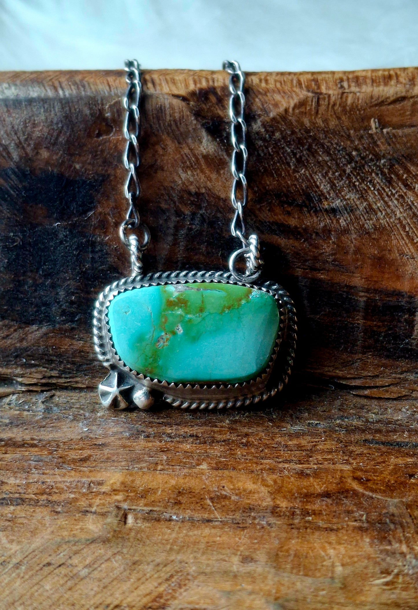 Fox Turquoise Necklace B