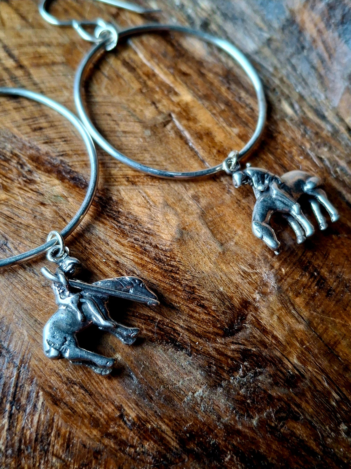 Horse Hoops