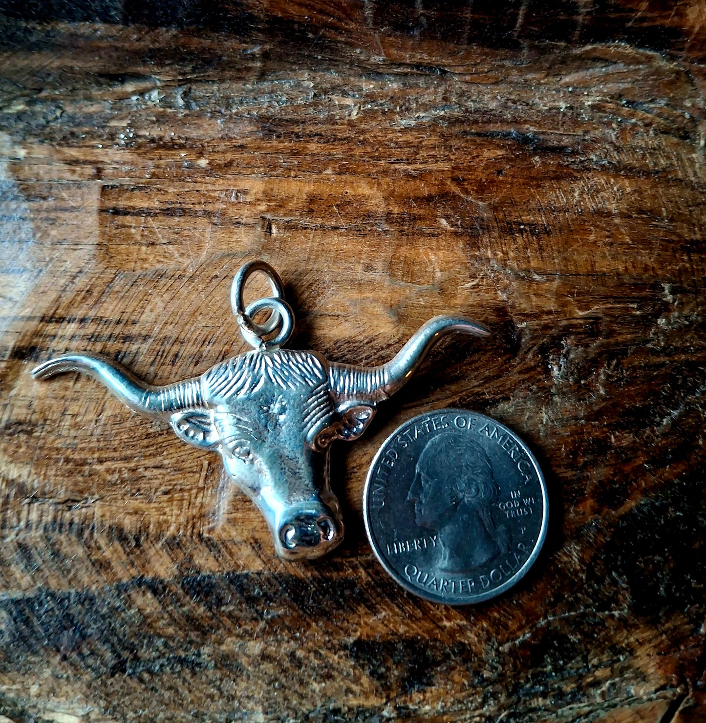 Sterling Longhorn Pendant