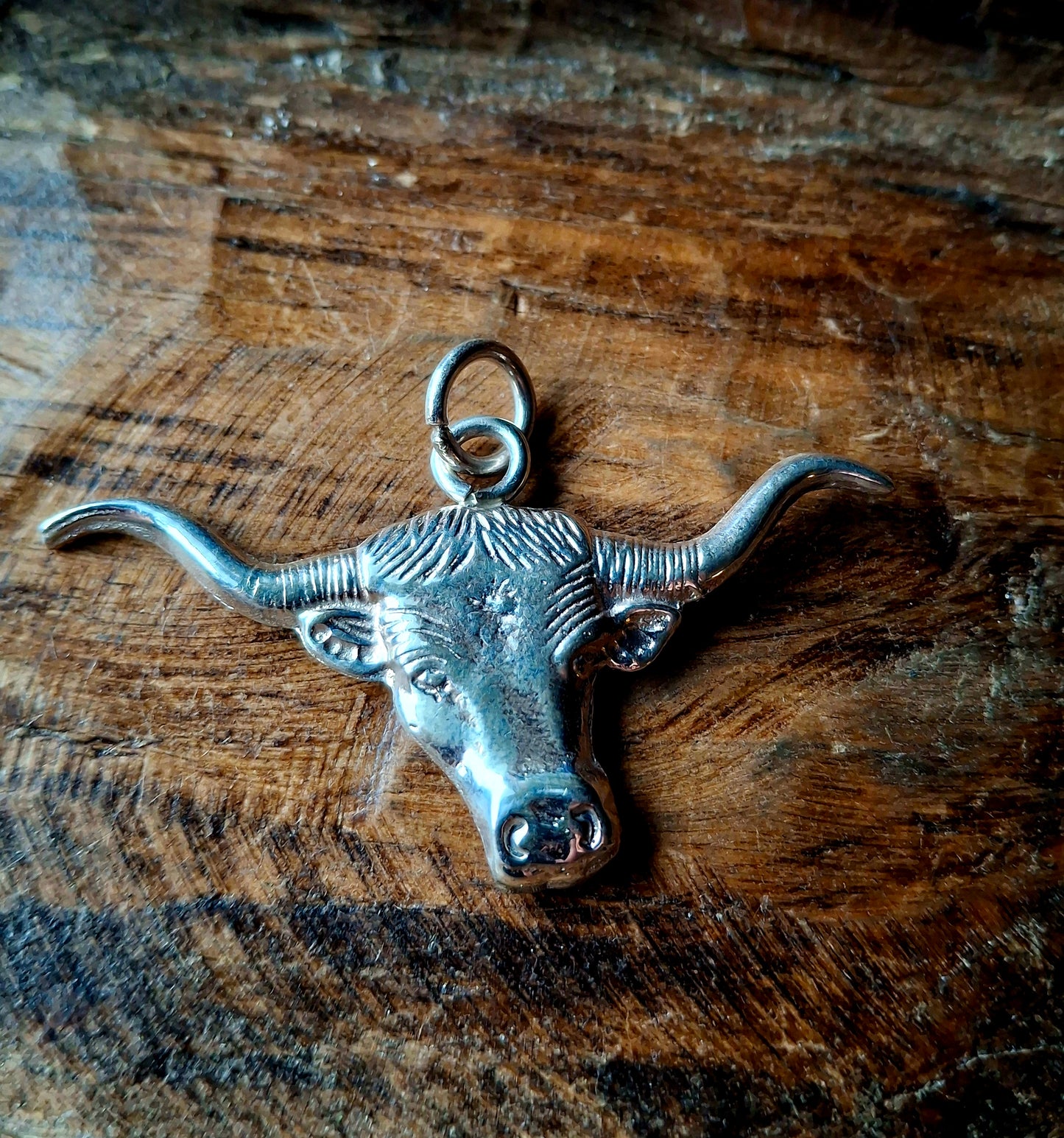 Sterling Longhorn Pendant