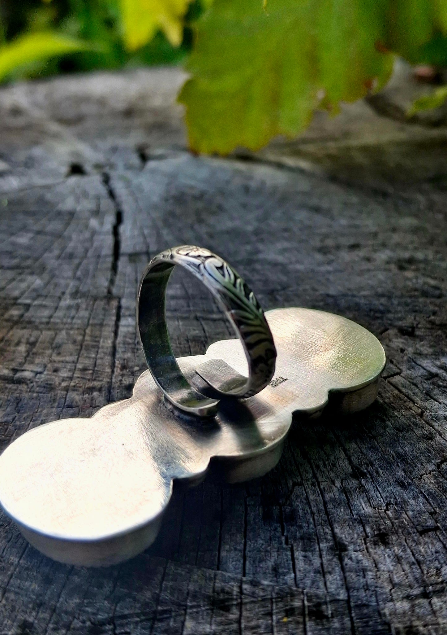 Hubei Crawler Adjustable Ring