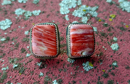 Red Spiny Studs - E19