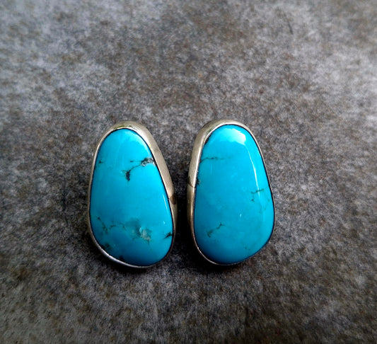 Egyptian Turquoise Studs - E27
